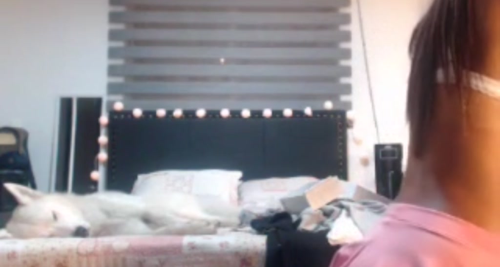 IsYrRoommate video thumbnail