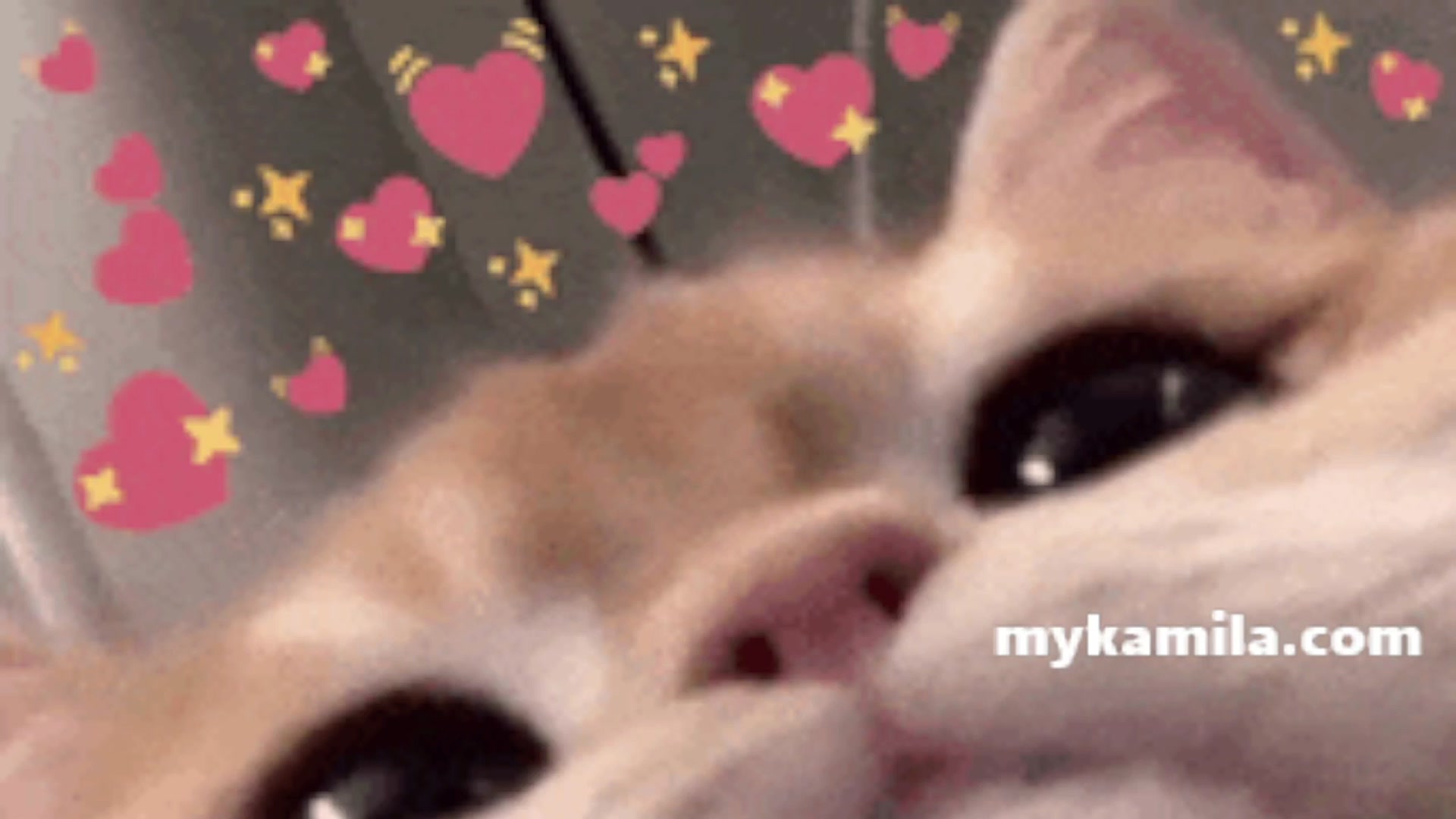 Kamila__ video thumbnail