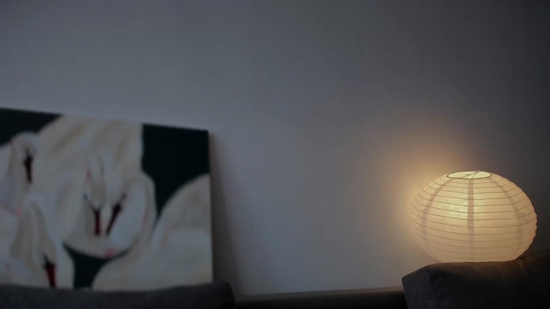 ButterFlyMiss video thumbnail