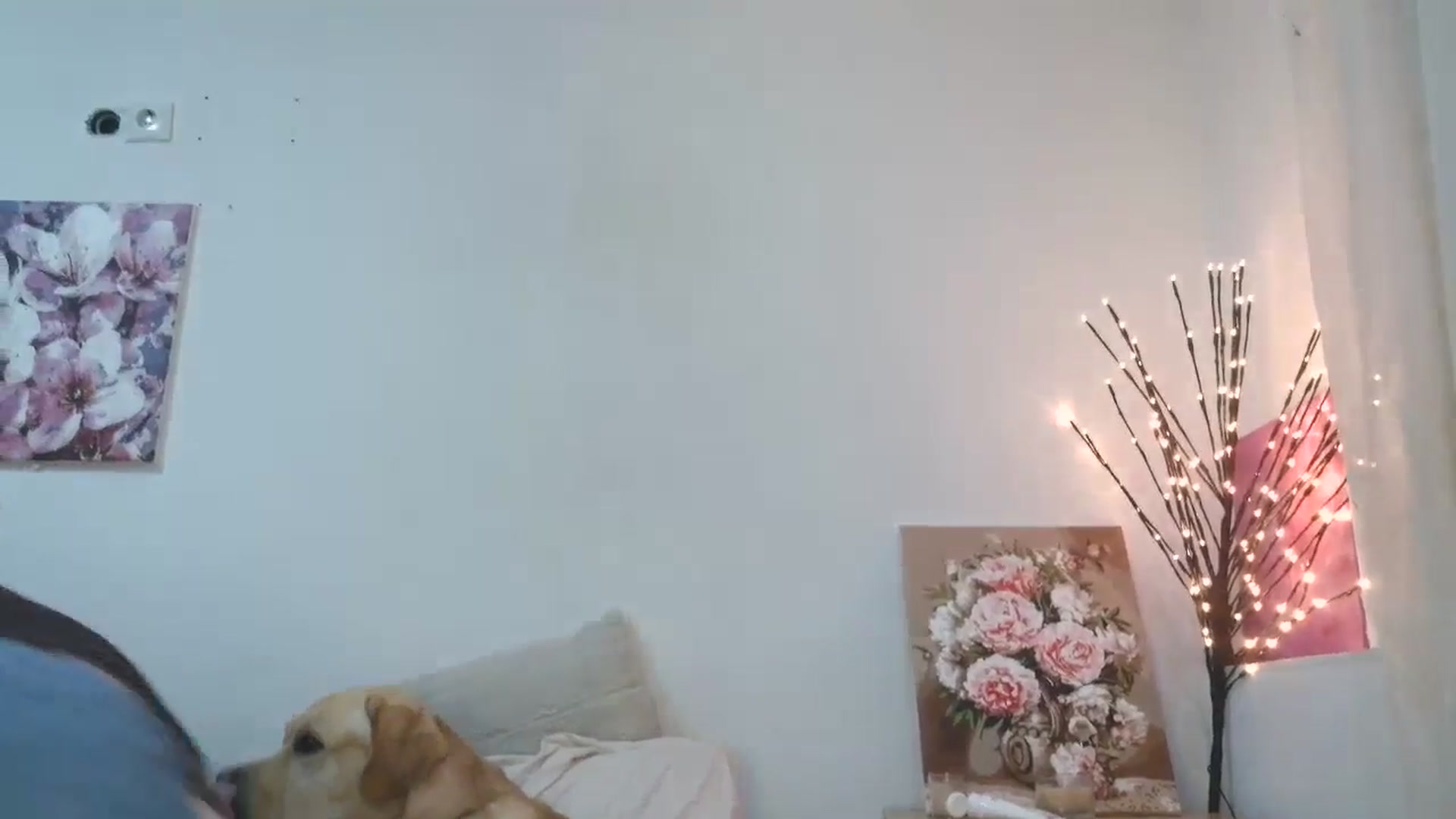 HaleyReed video thumbnail