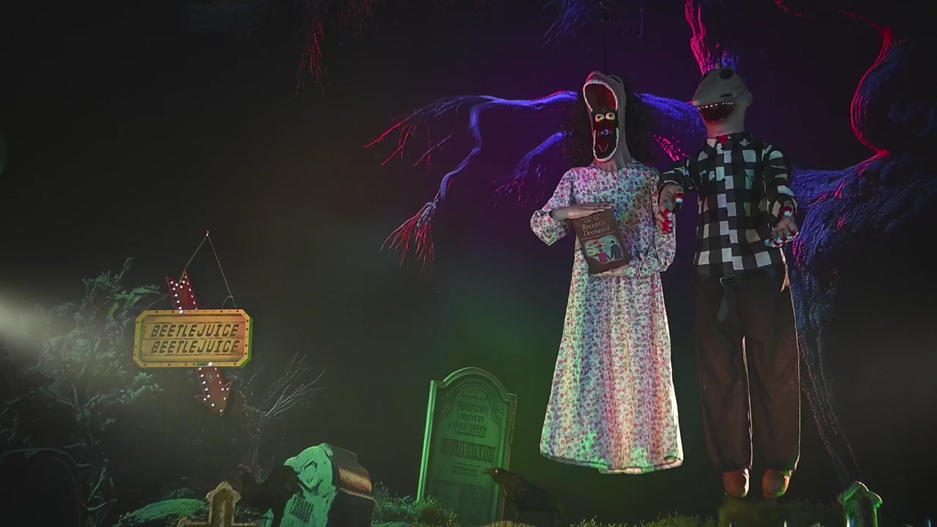 RocknRose video thumbnail