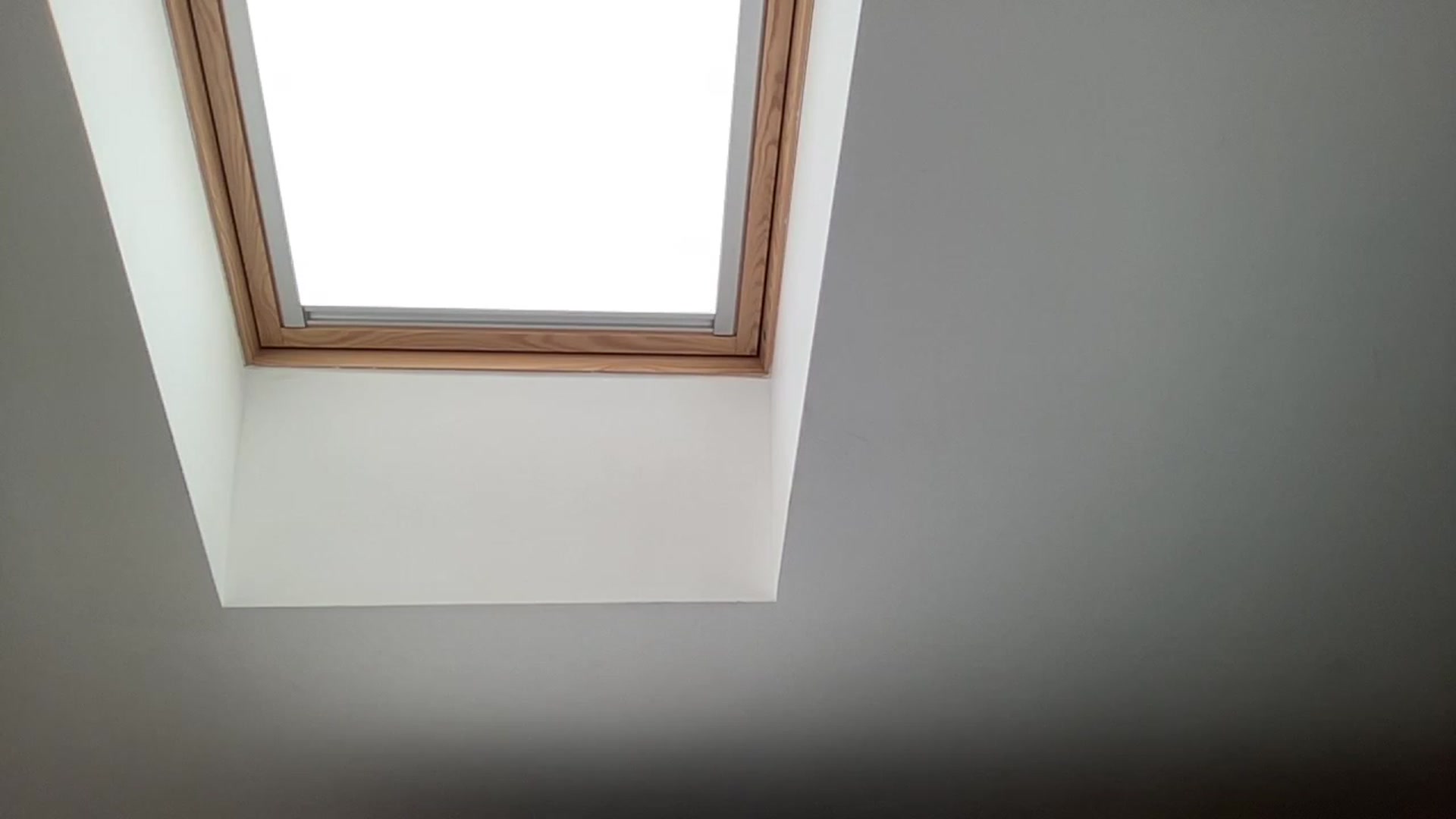 MagicElfie video thumbnail