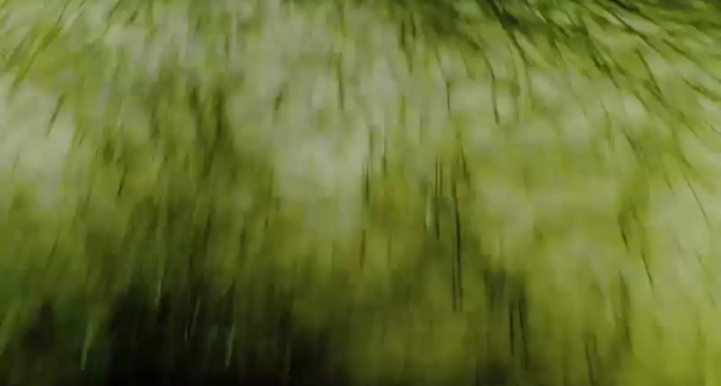 anarossanna video thumbnail
