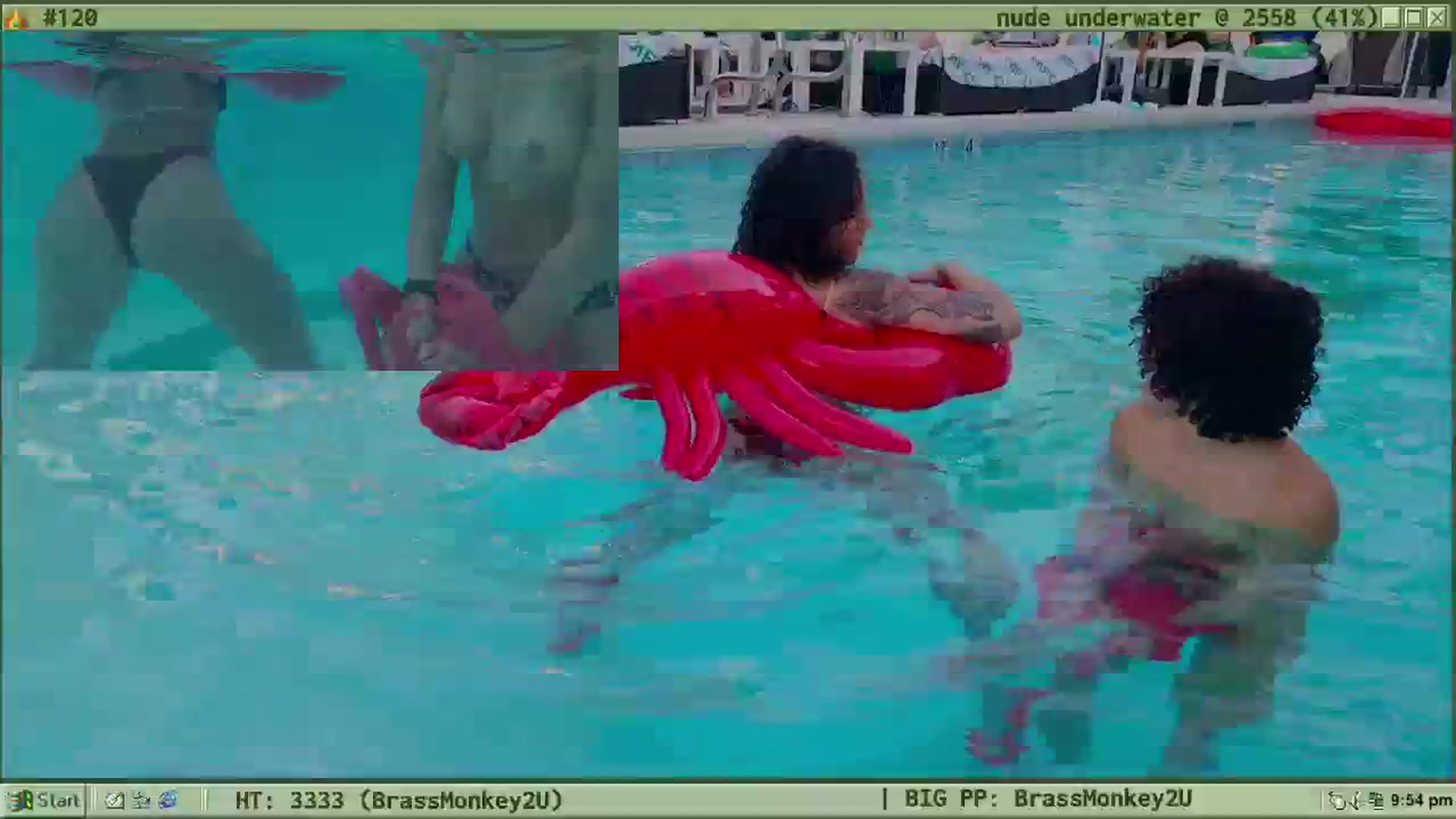 TERRA video thumbnail