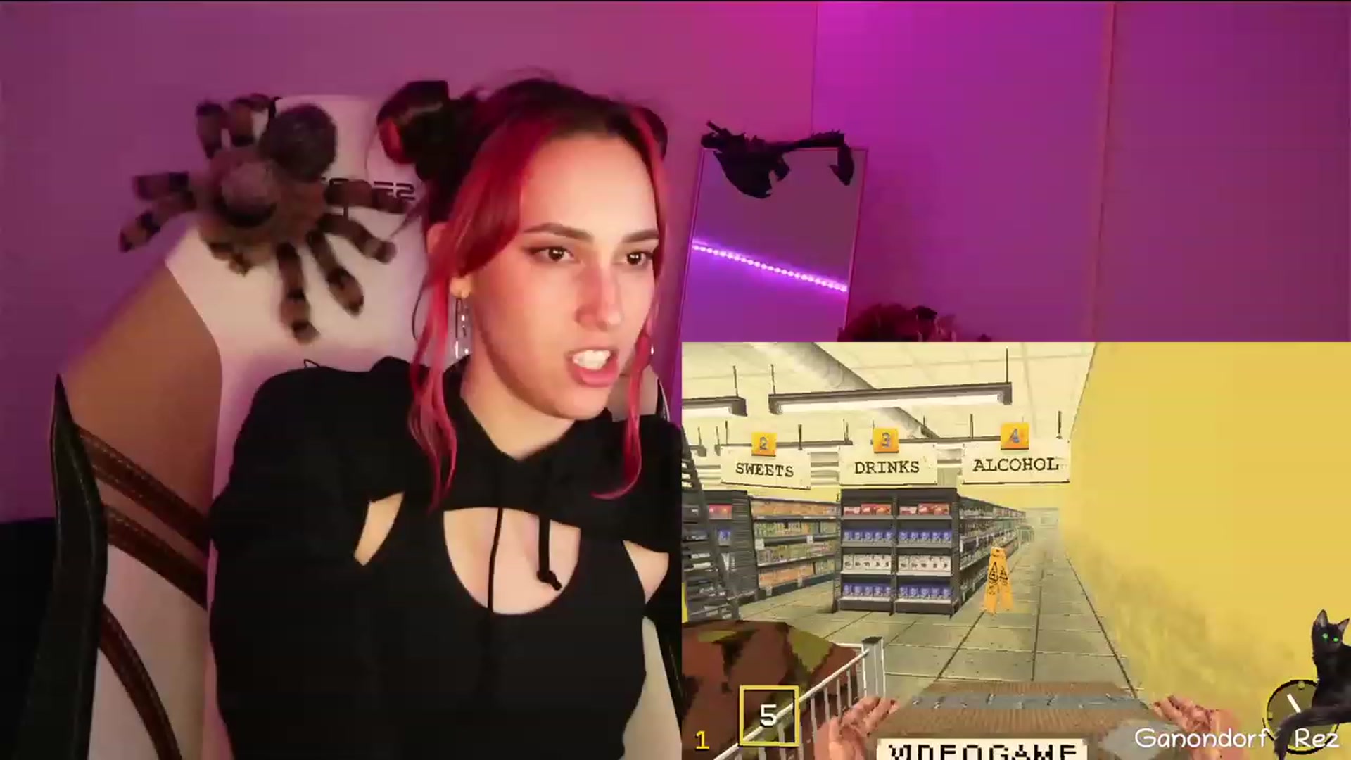 Dashy video thumbnail