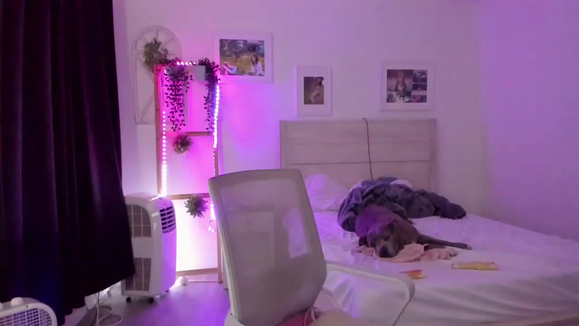 Bunni_ video thumbnail