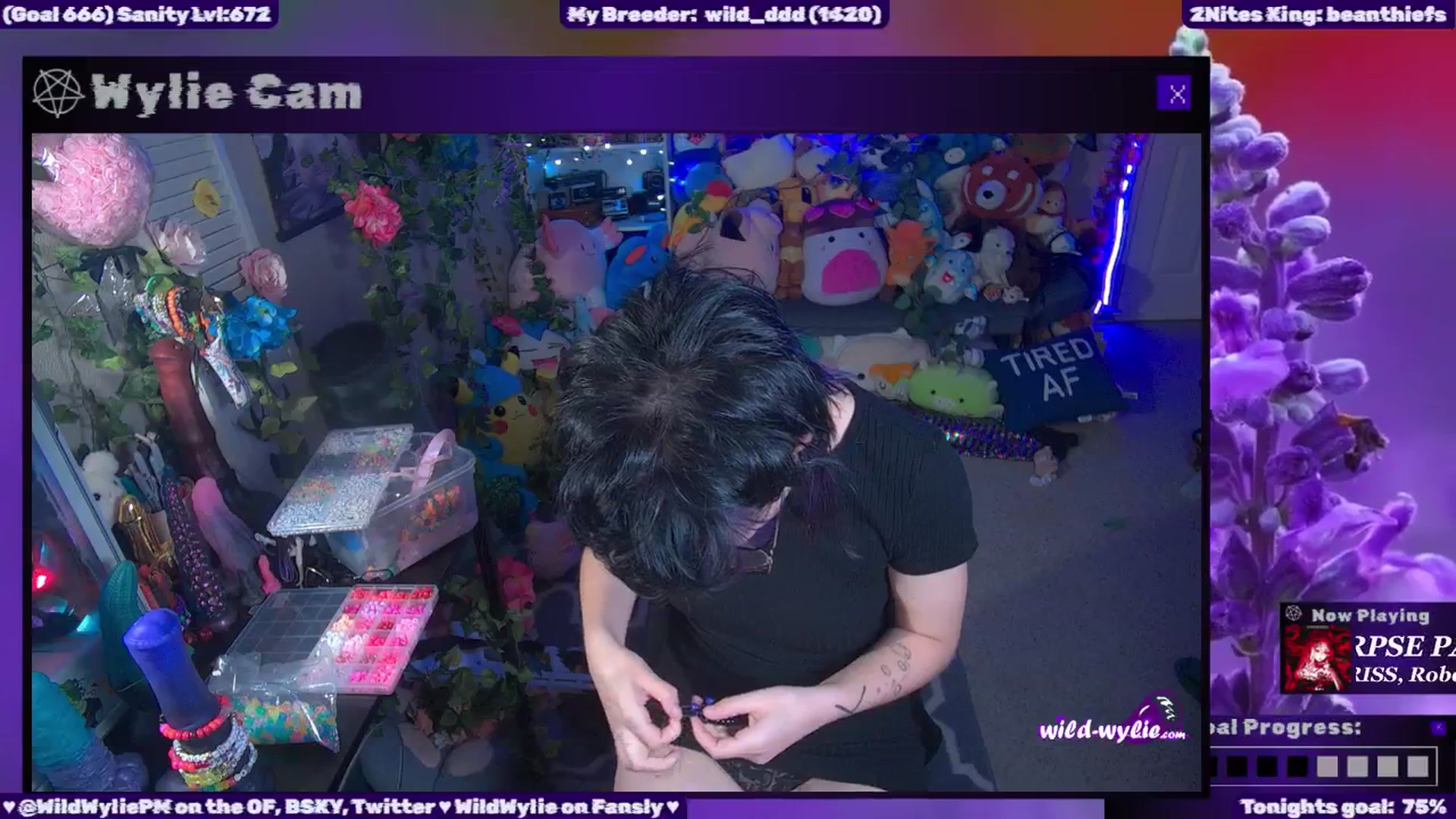 WildWyliePM video thumbnail