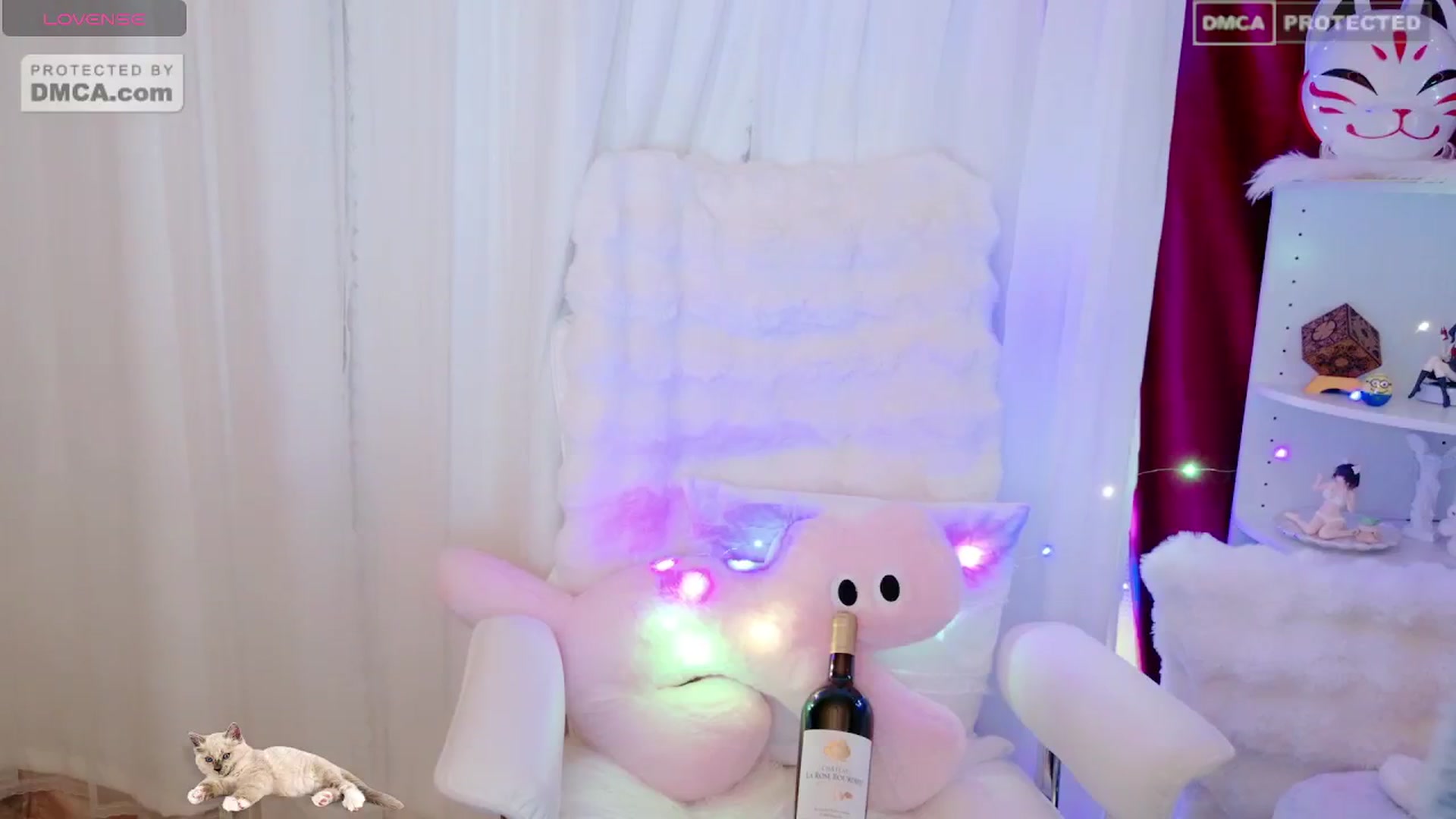 meows video thumbnail