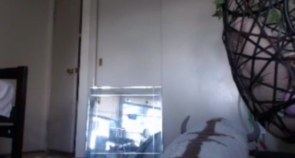 Ashe_Maree video thumbnail