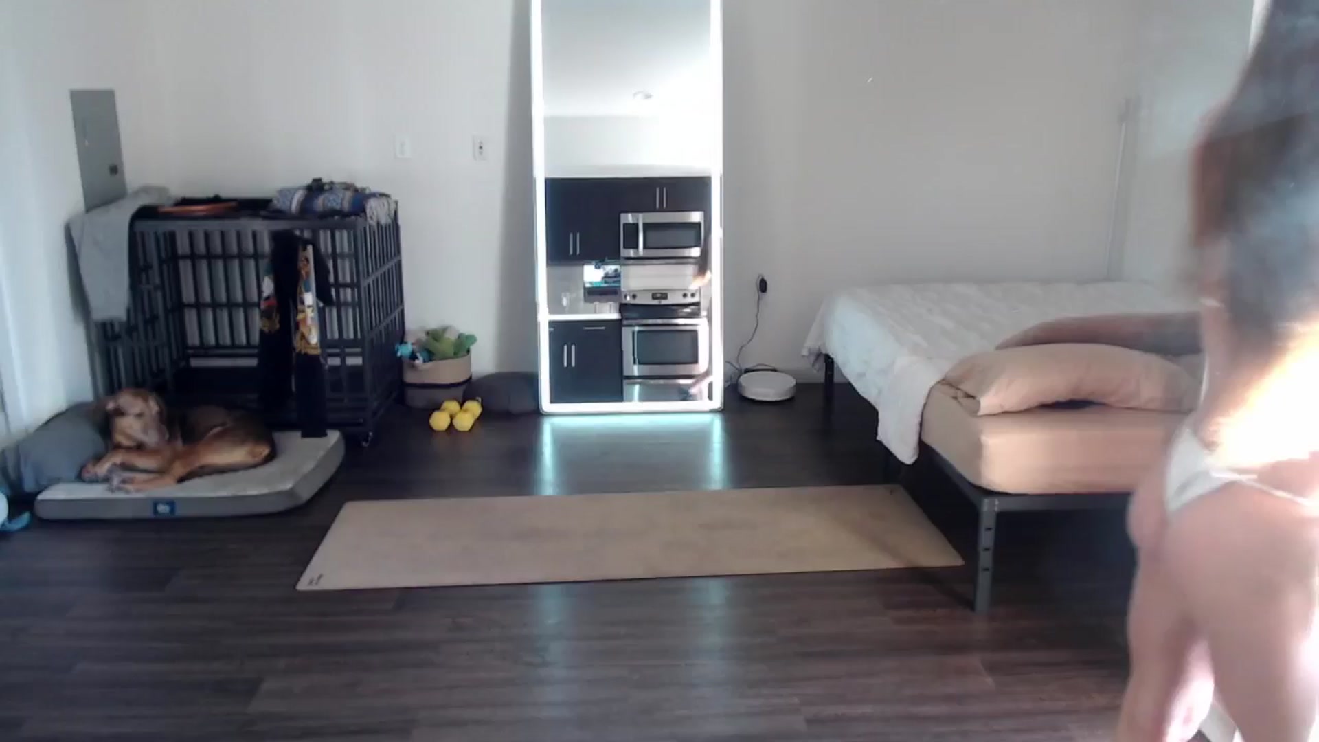 highfrequency video thumbnail