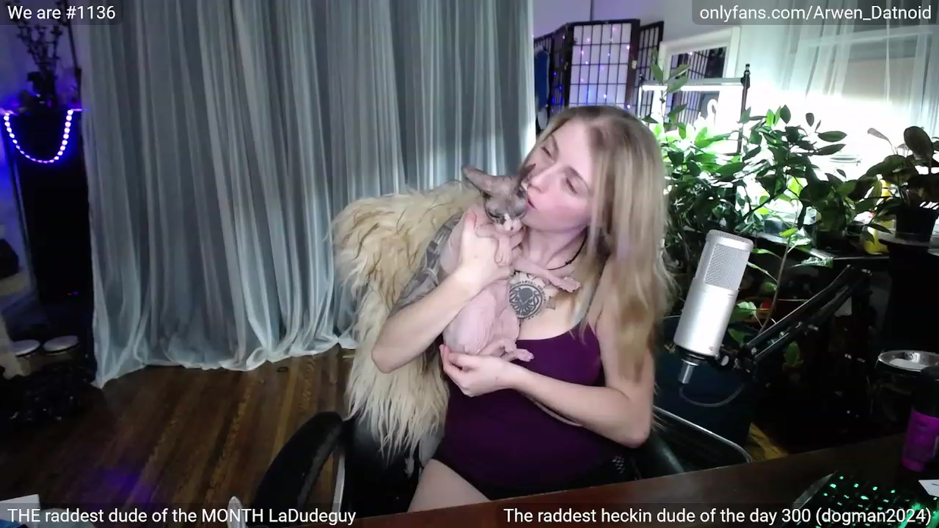 Arwen_Datnoid video thumbnail