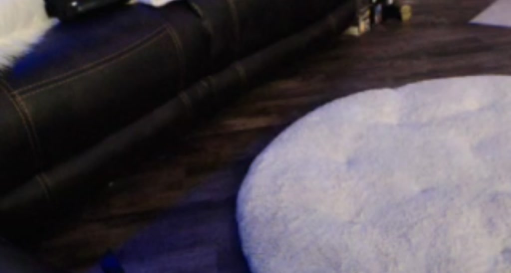 Catjira video thumbnail