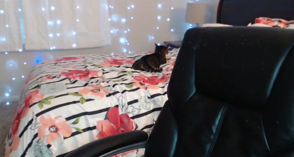 BrookieBoobs video thumbnail