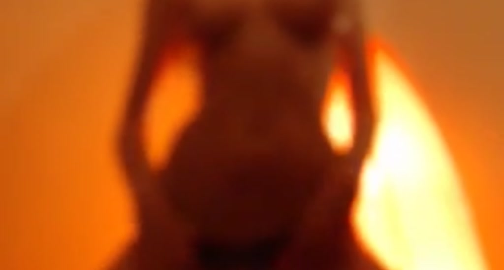 A_Young_fox video thumbnail