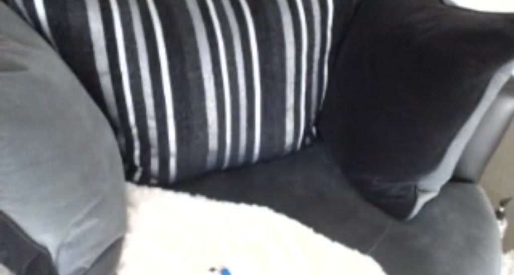 Ariele_ video thumbnail
