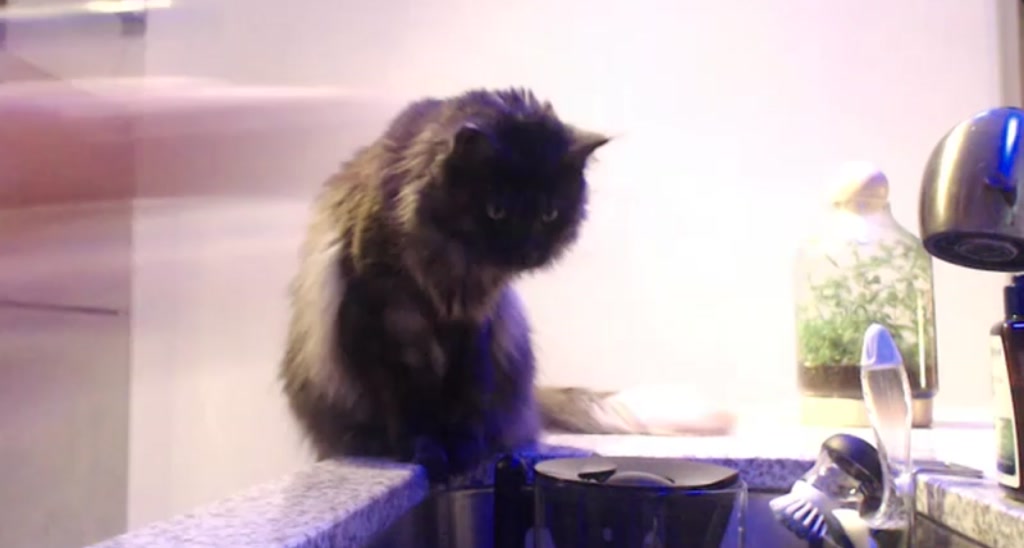 Katie video thumbnail