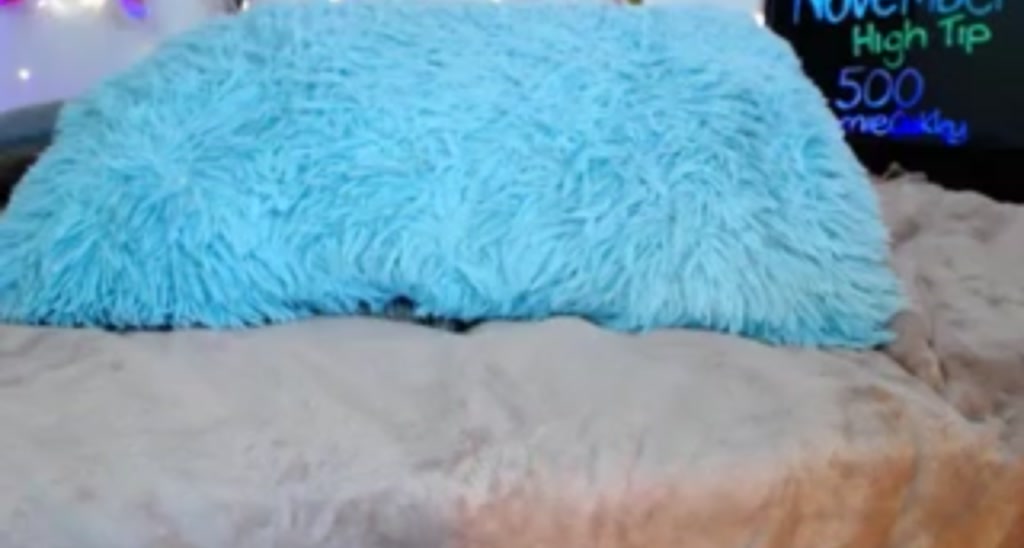 CharlotteWebb video thumbnail
