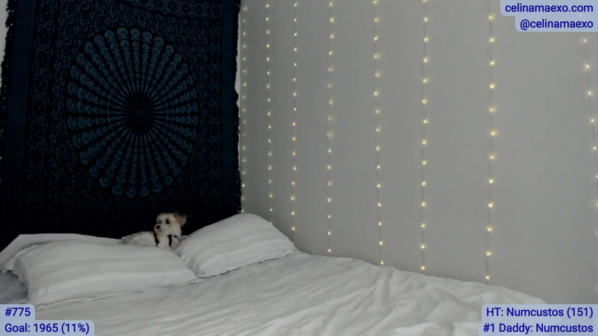 Celinamaexo video thumbnail