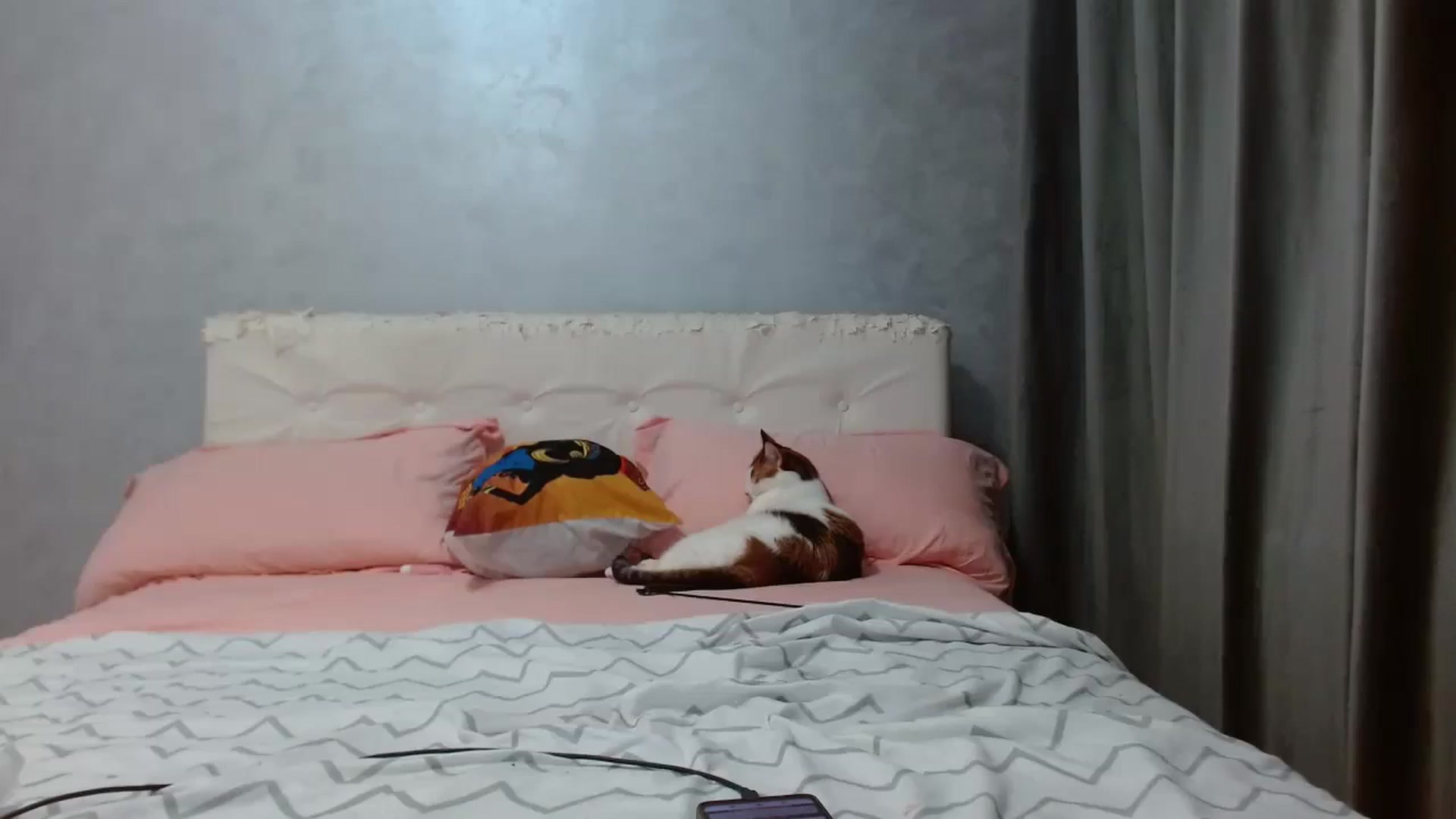 Aahh_Emilia video thumbnail