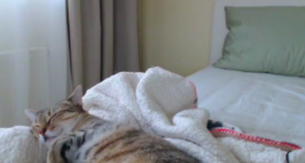 EmilyTease video thumbnail