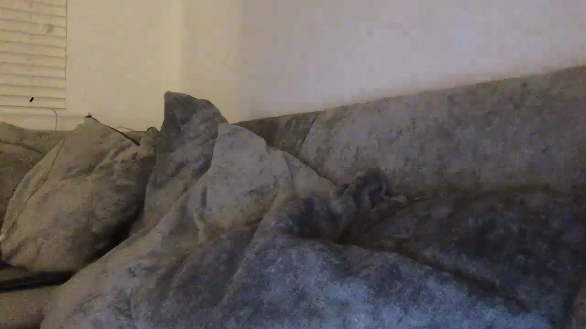 Barbxie video thumbnail