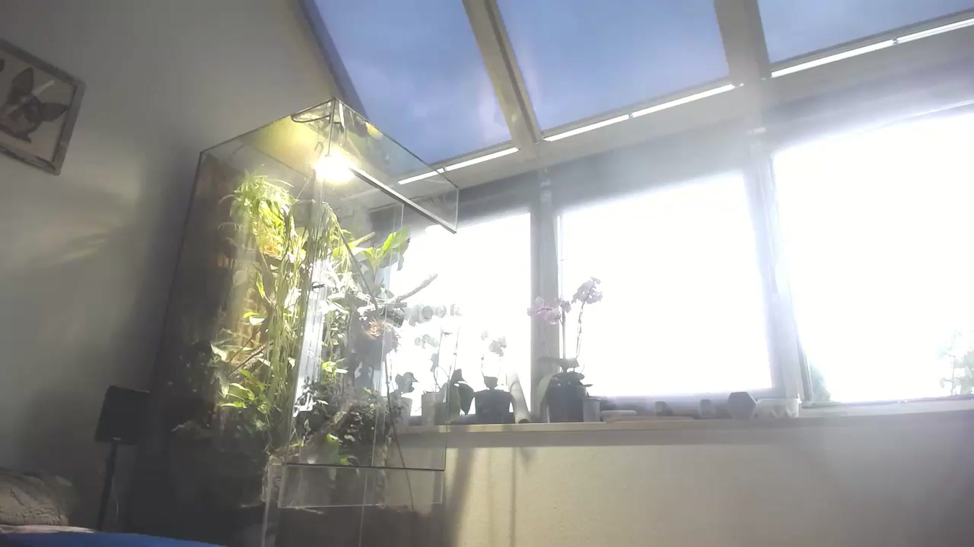 MiaMaxxx video thumbnail