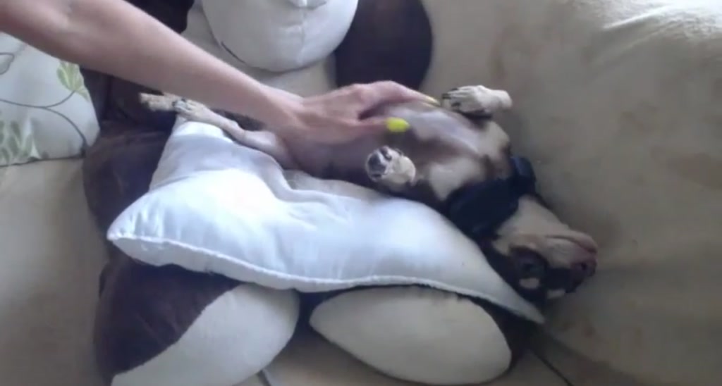 MiaMaxxx video thumbnail