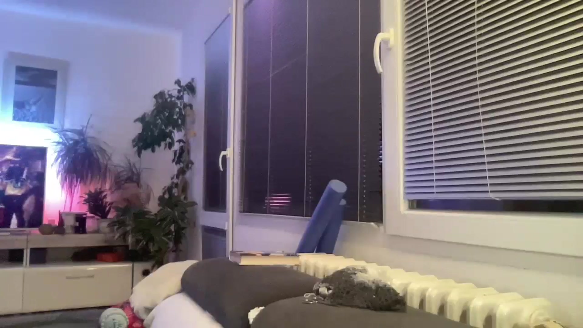 Squirrel_MFC video thumbnail