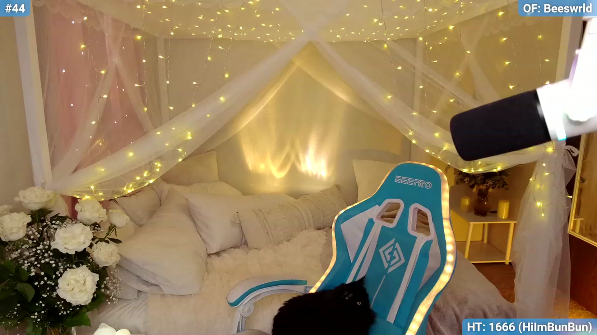 Beeswrld video thumbnail