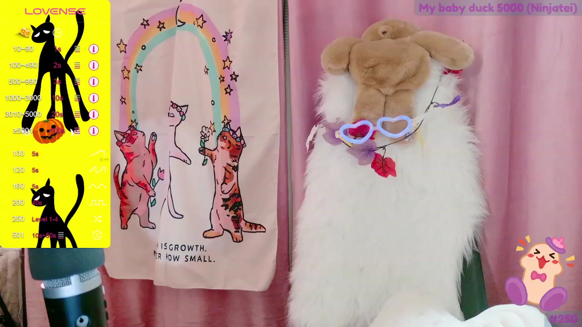 meows video thumbnail