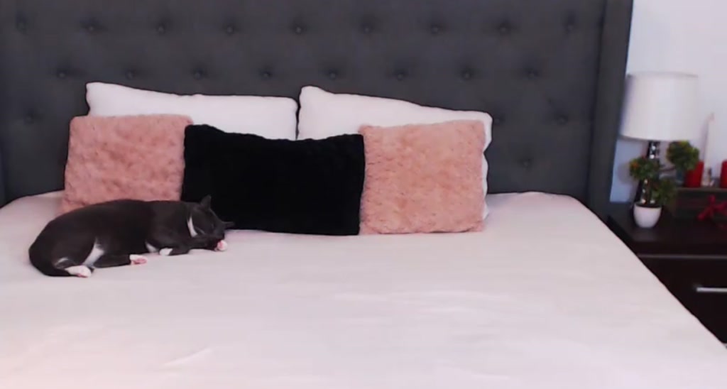 BlackLotusxo video thumbnail