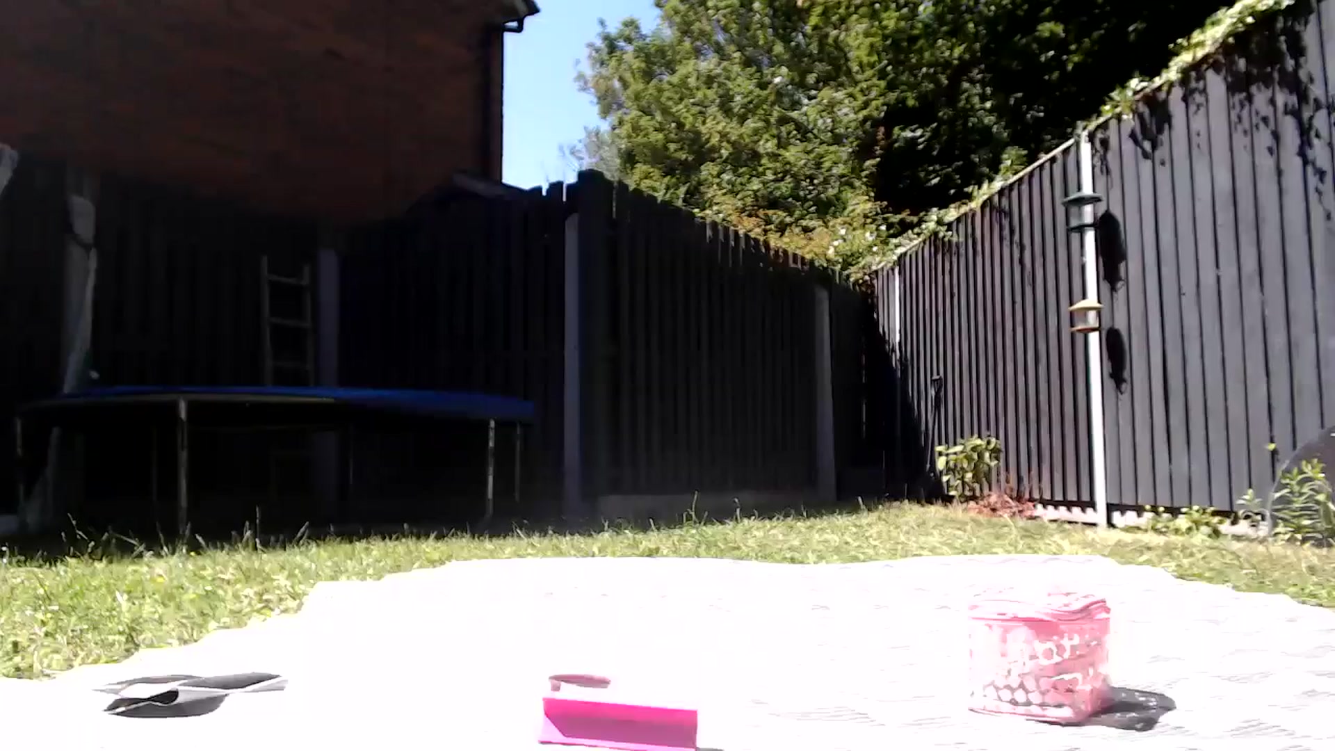 PrincessXTC video thumbnail
