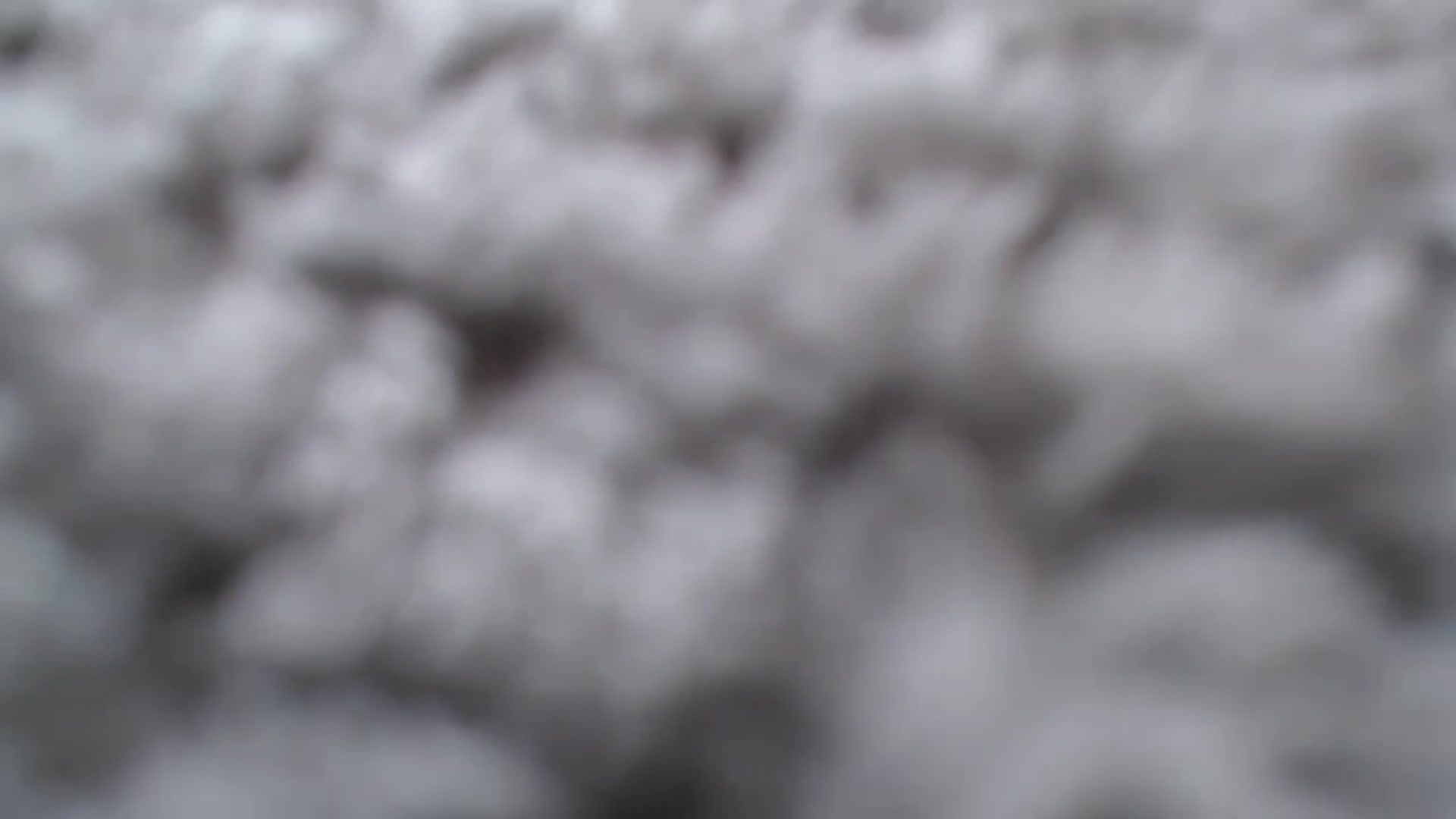 WildPersian video thumbnail