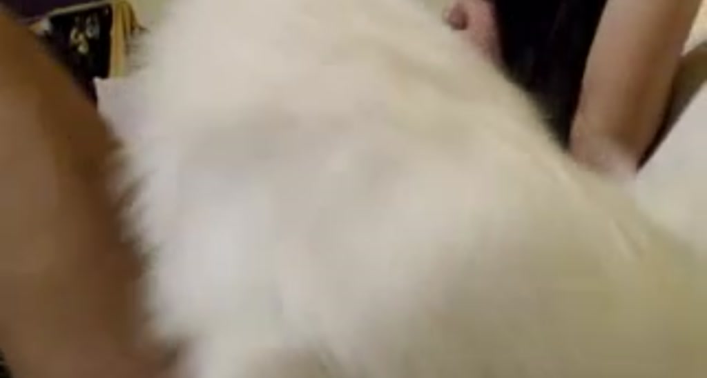 YourAsian video thumbnail