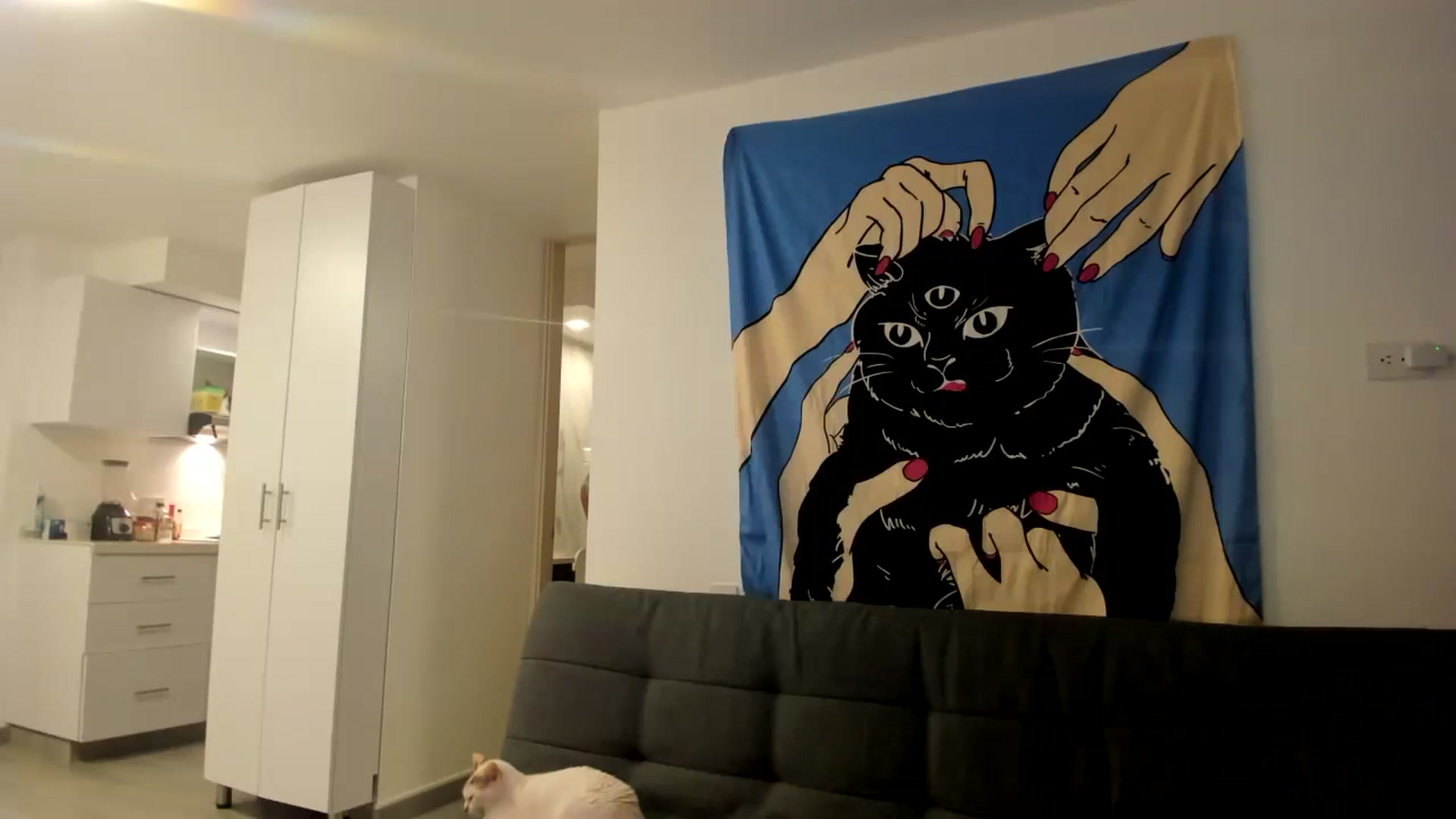Teddytrod video thumbnail