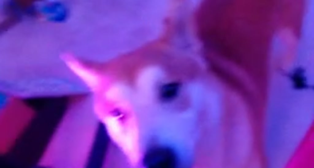 DoubleDang_V video thumbnail