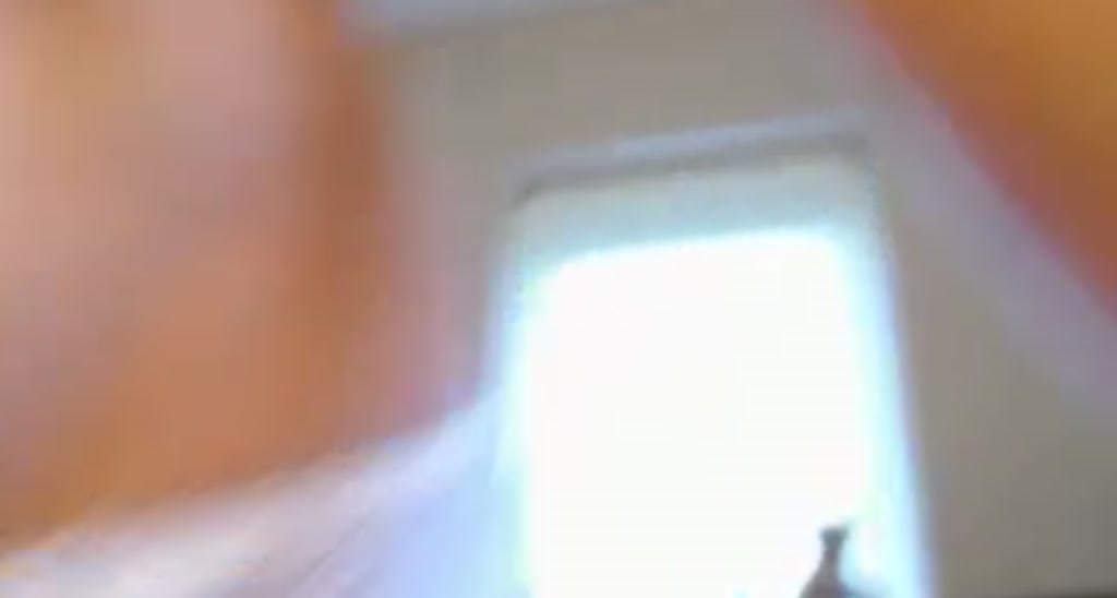 WildestKitten video thumbnail