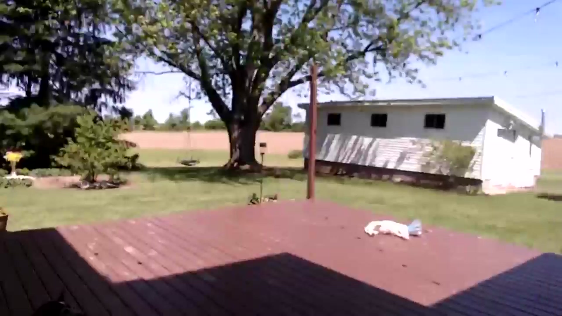 FarmGirl__ video thumbnail