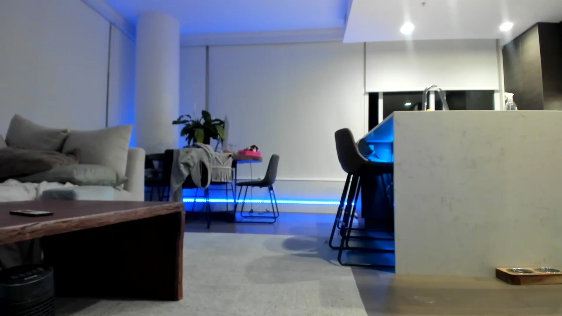 Mollyboots video thumbnail
