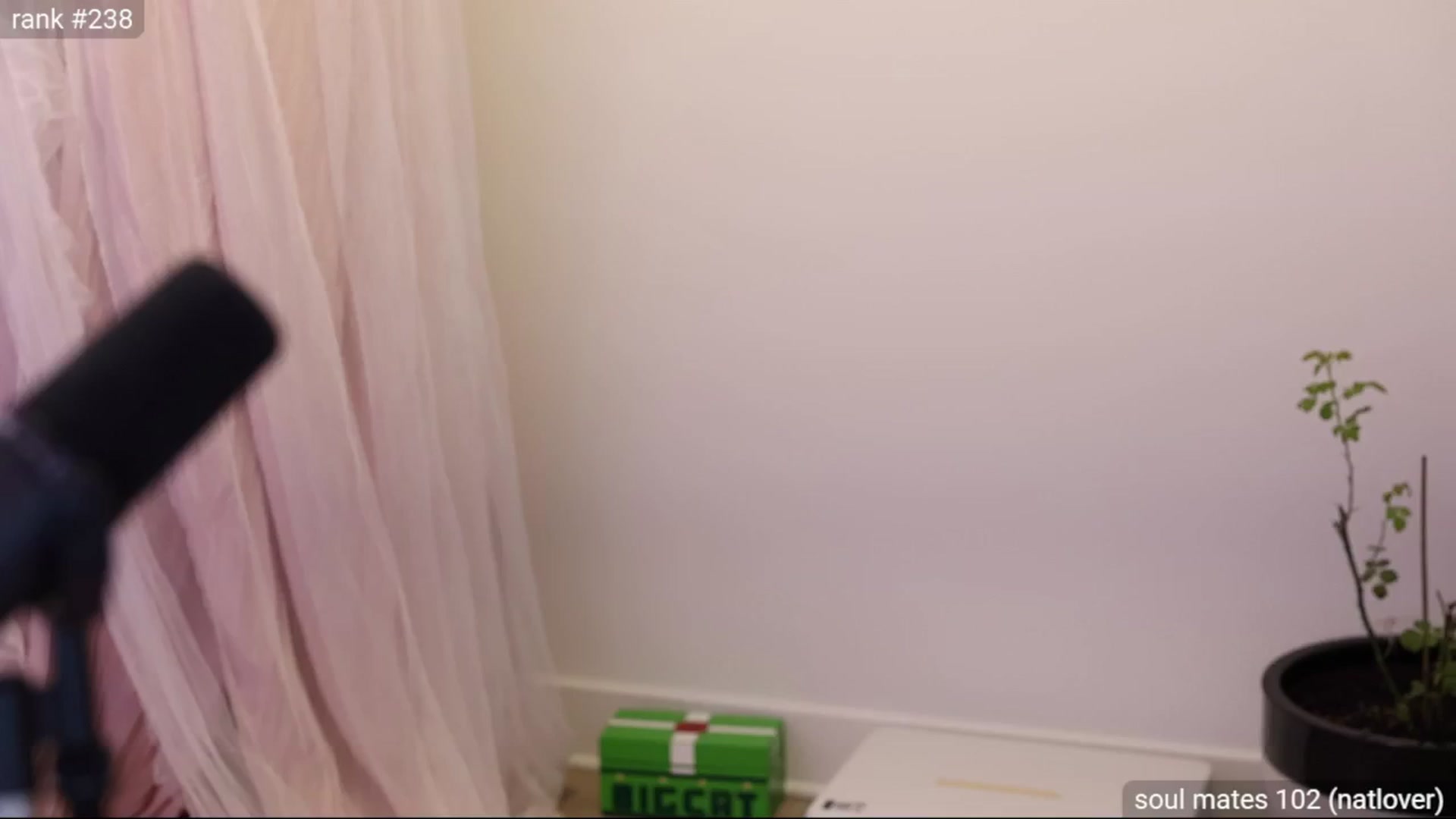 daisii video thumbnail