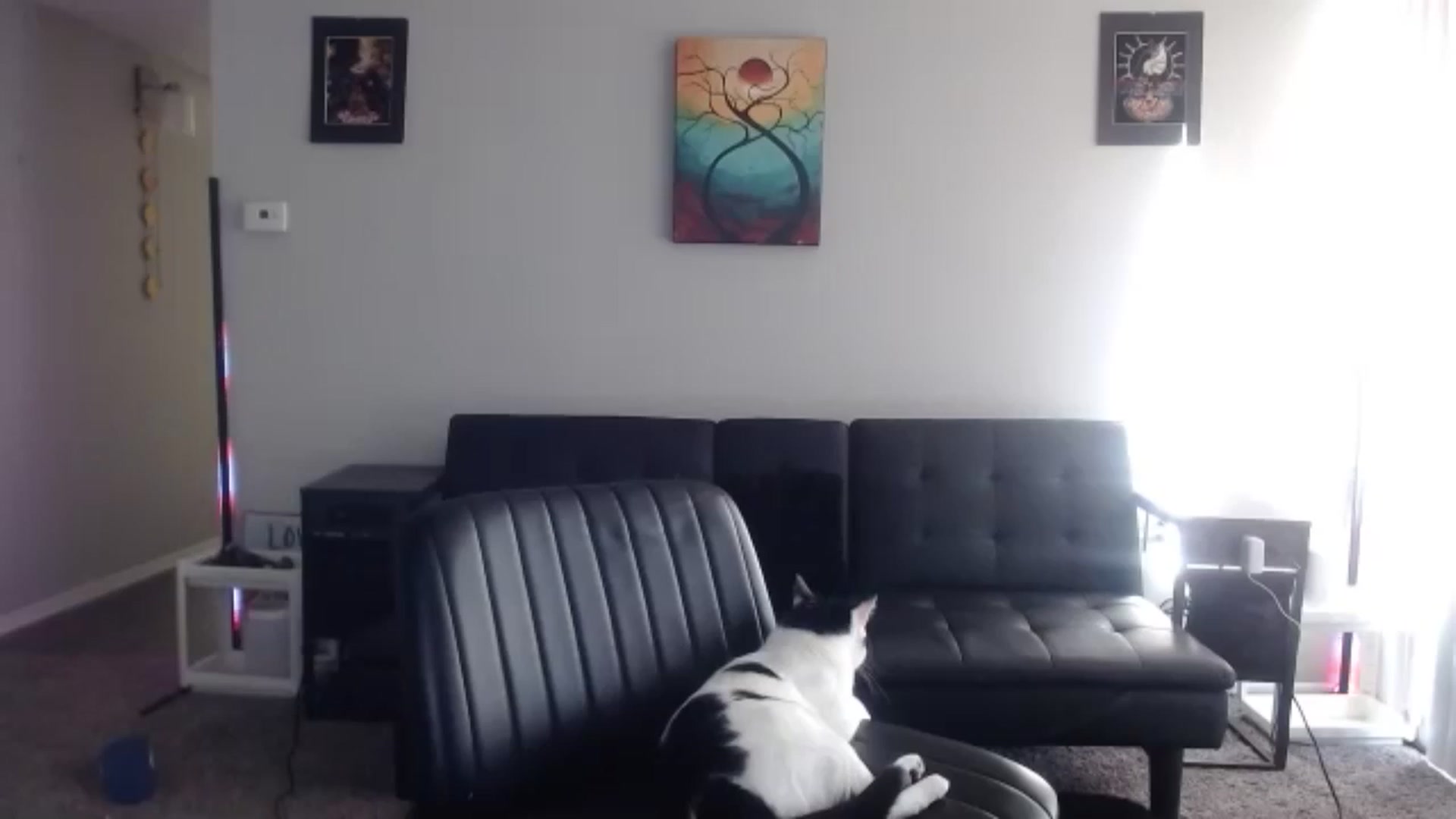 thtoneblonde video thumbnail