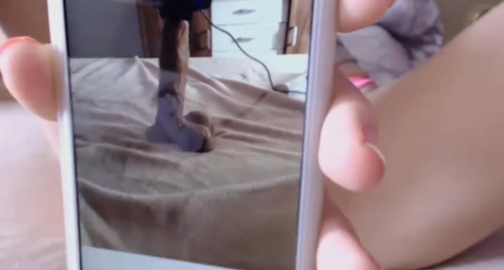 Pamela_la video thumbnail