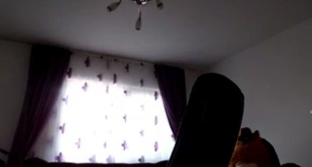 Sensationowl_ video thumbnail