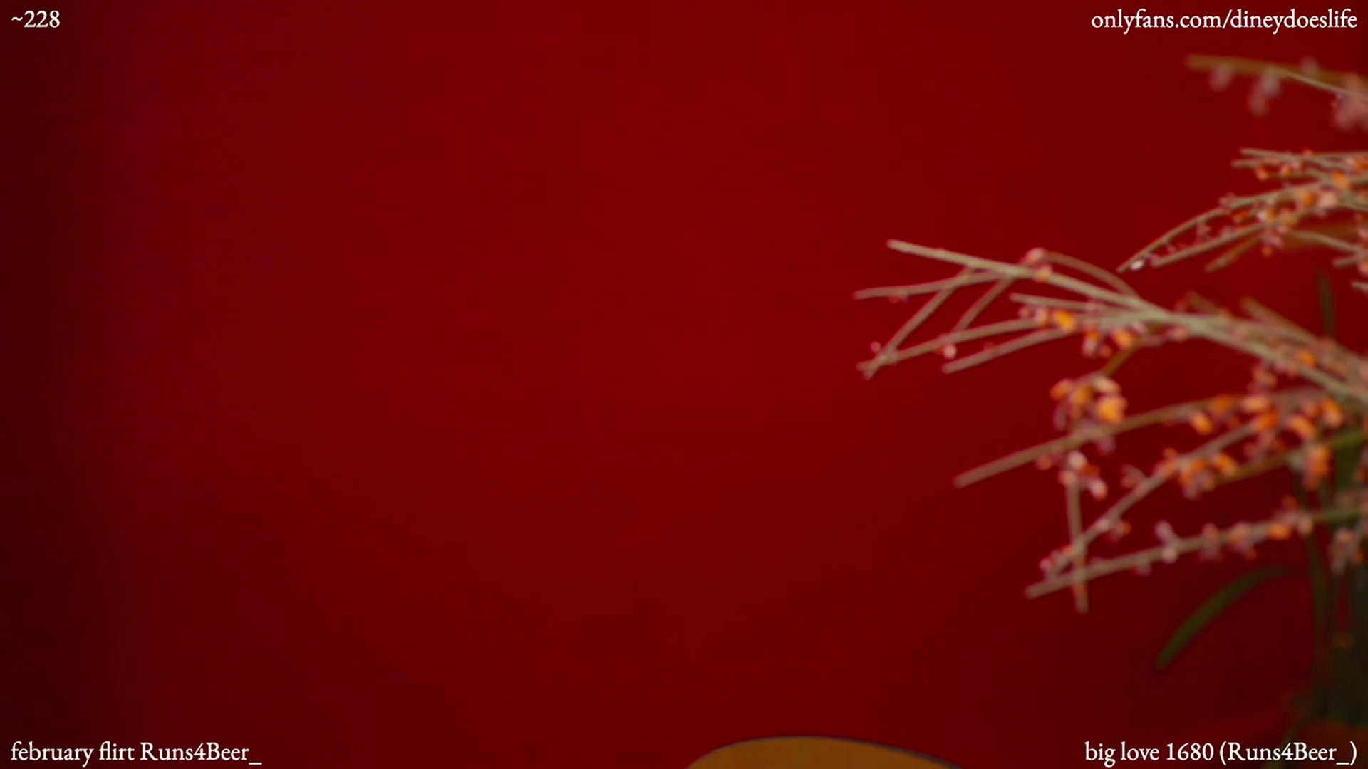 diney_ video thumbnail