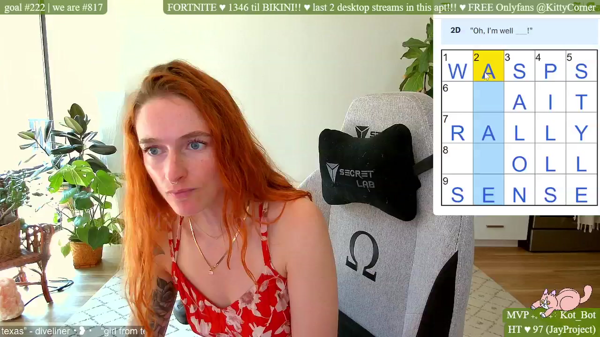 KittyCorner video thumbnail