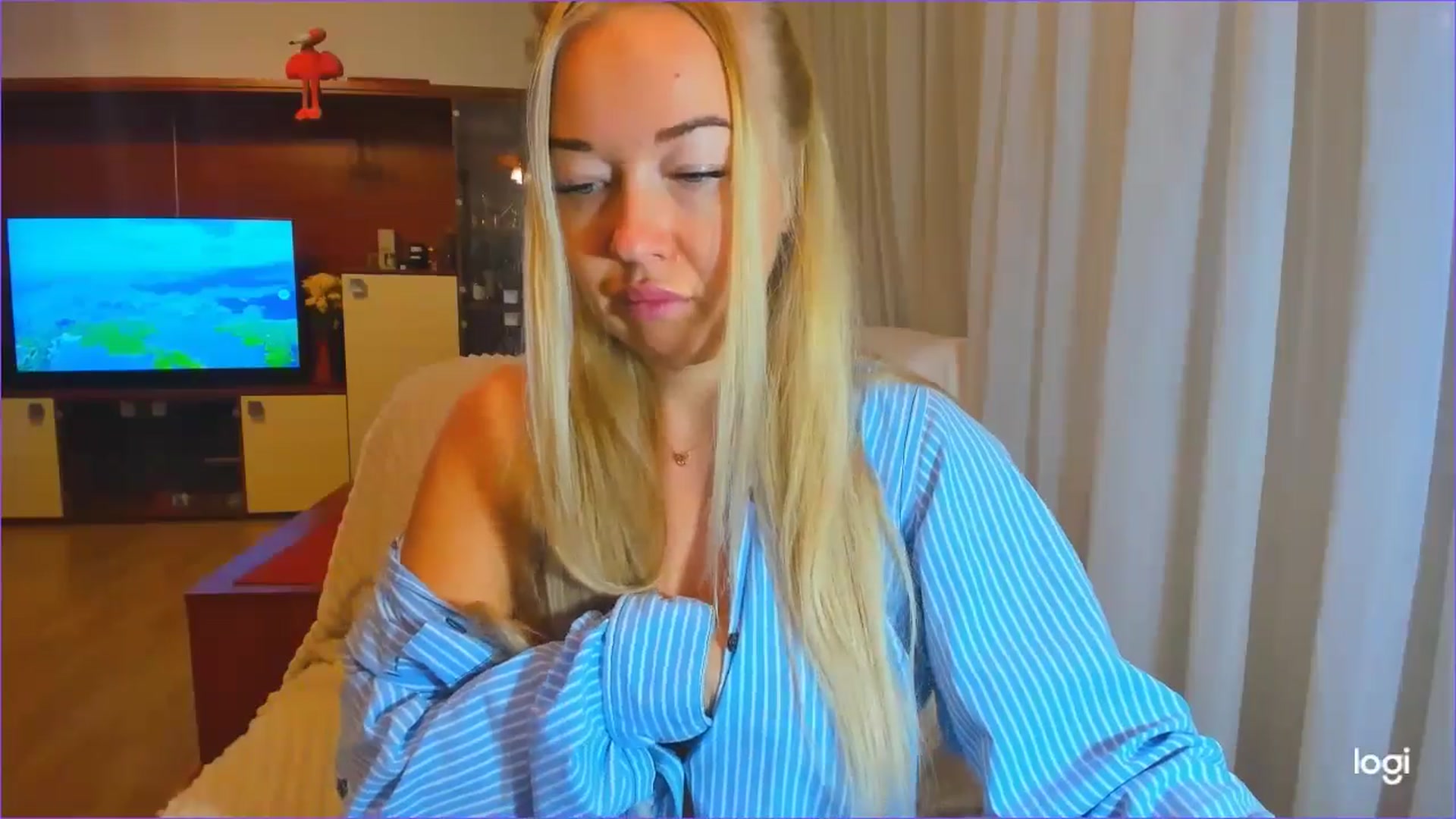 FlamingoDream video thumbnail