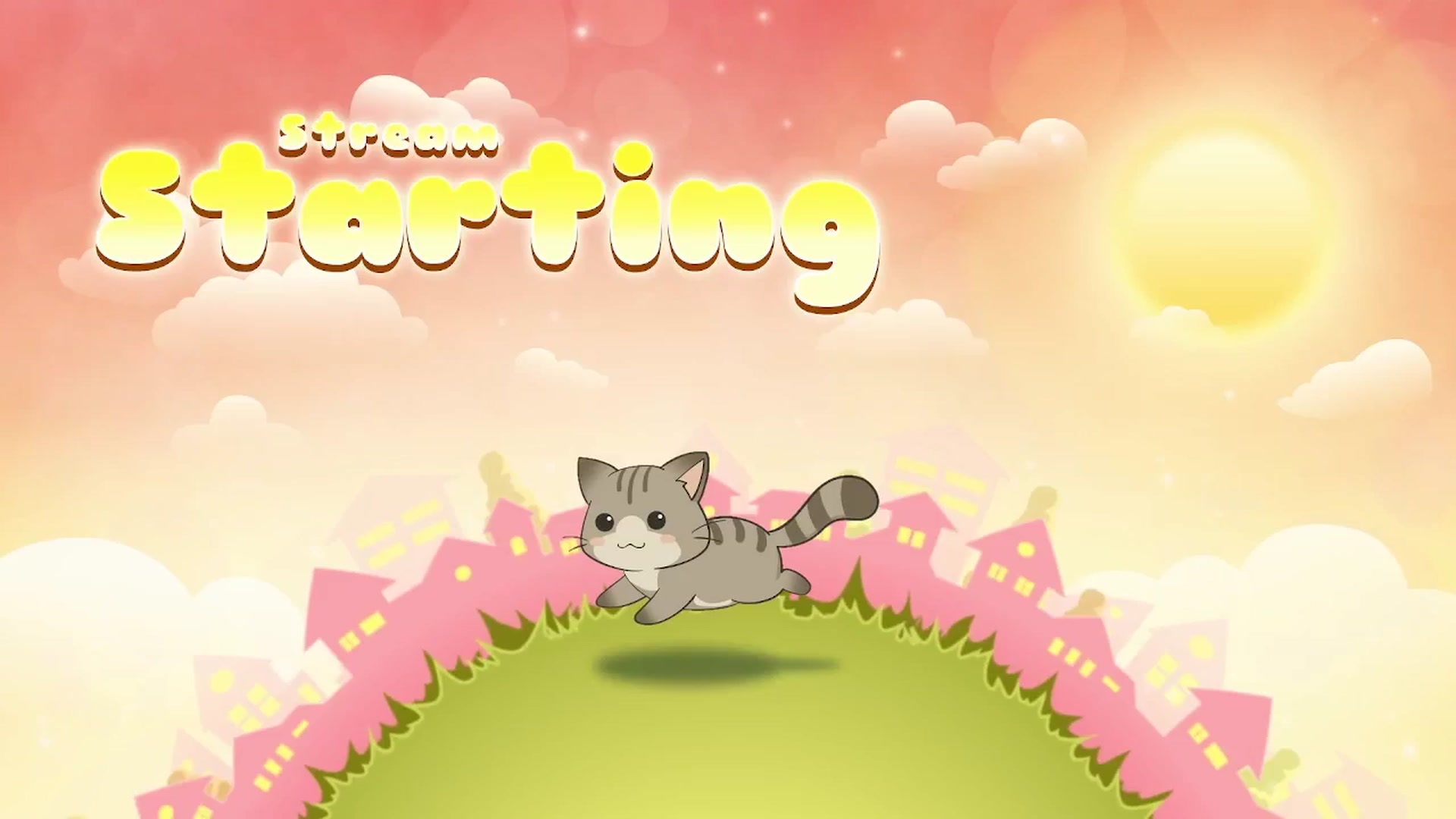 Kitty video thumbnail