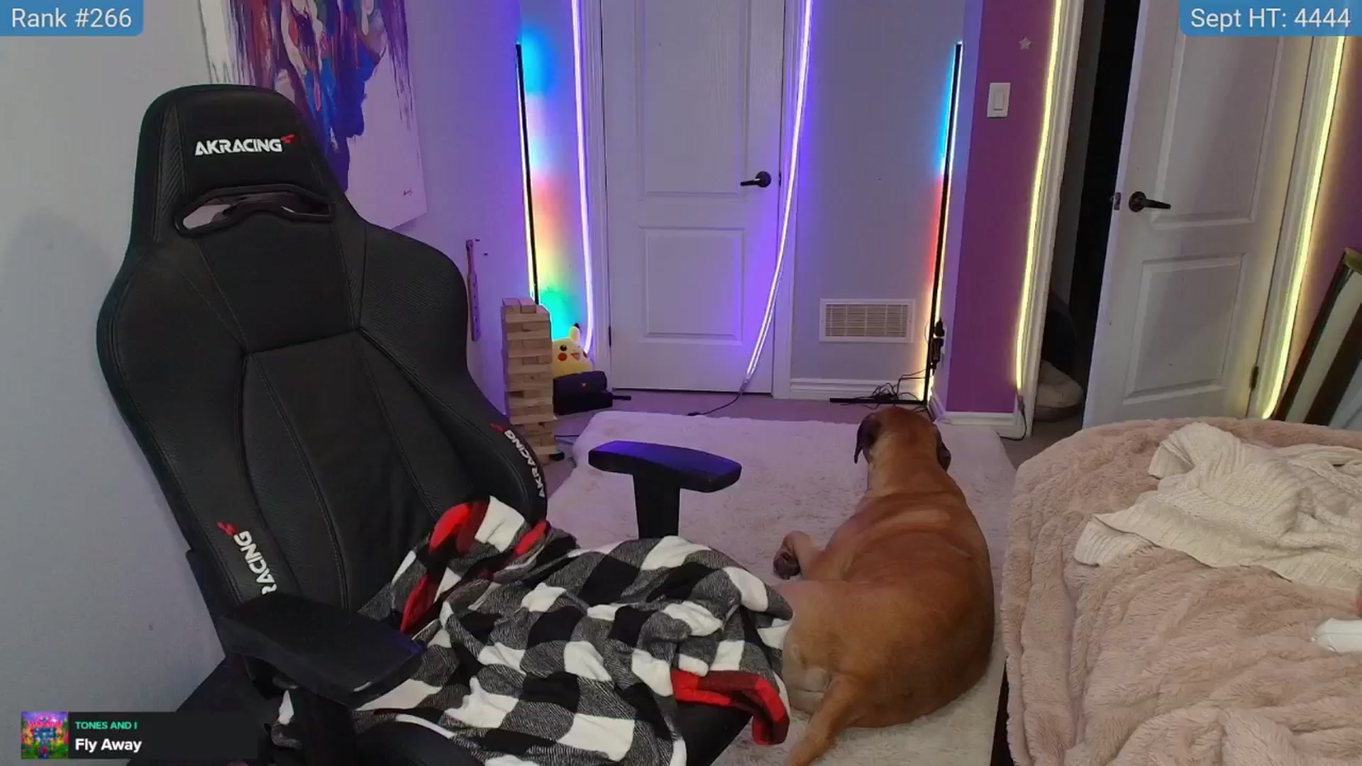 HaileeCameron video thumbnail