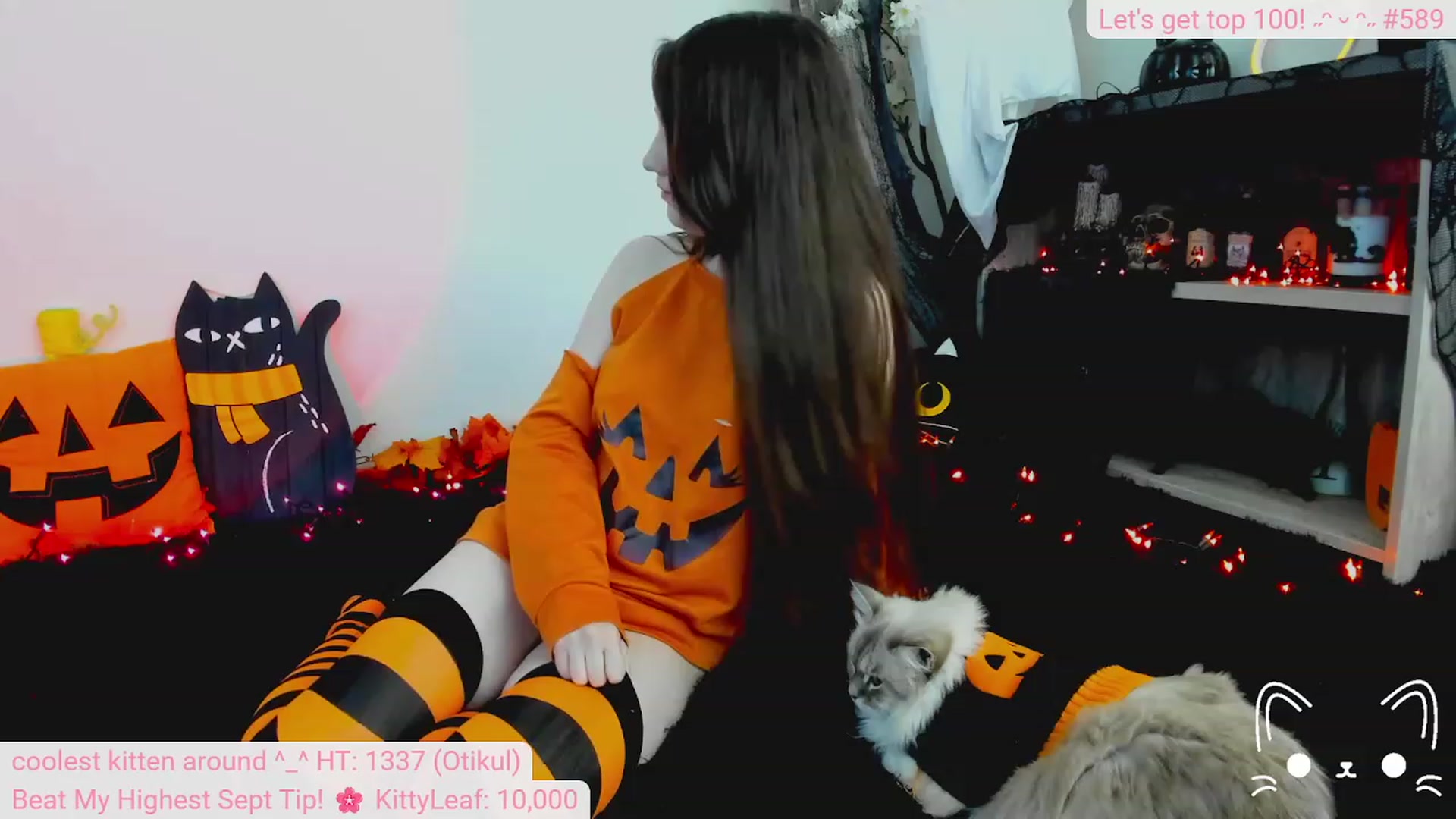 Kitty video thumbnail