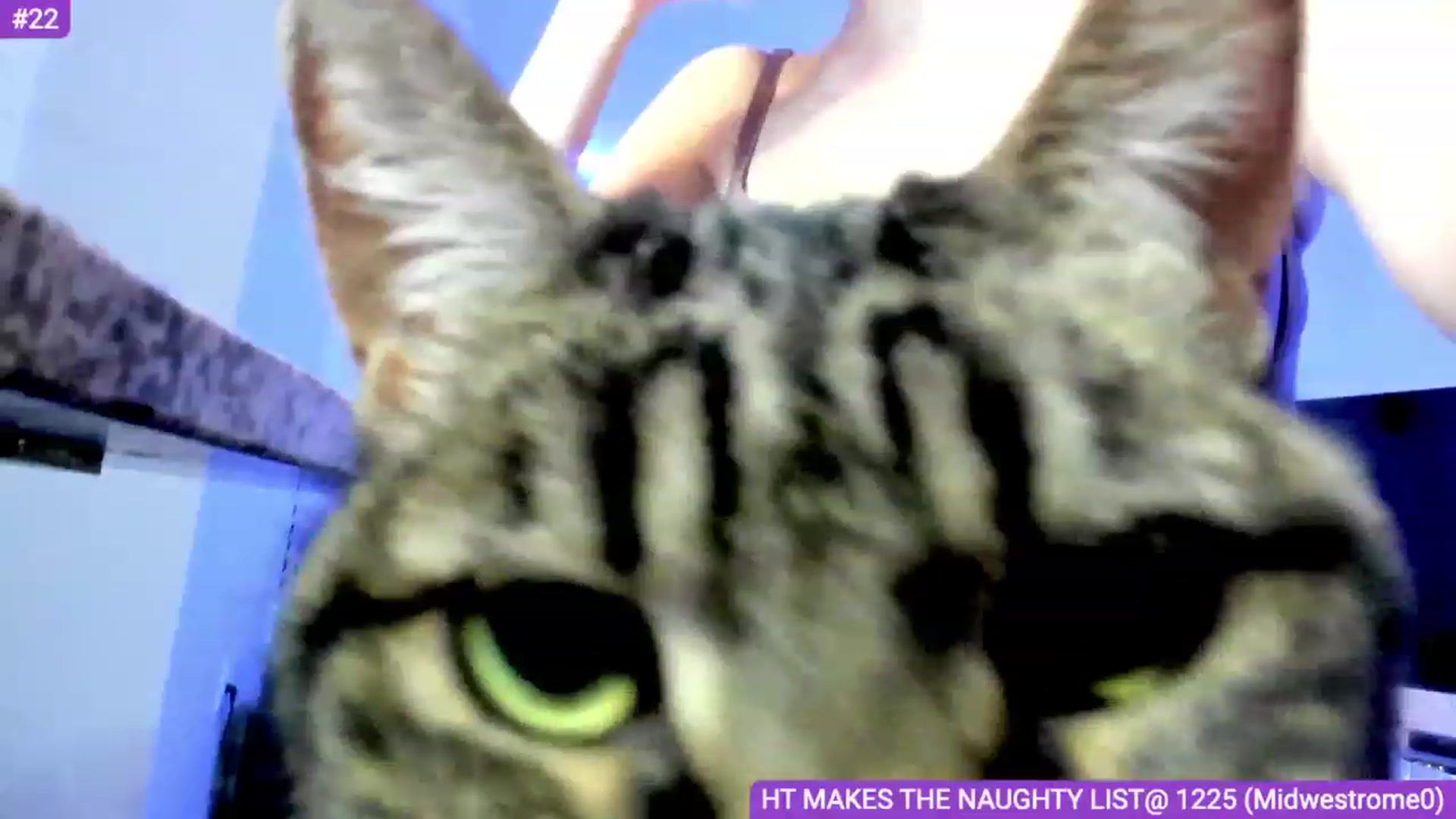 Sammy_gray video thumbnail